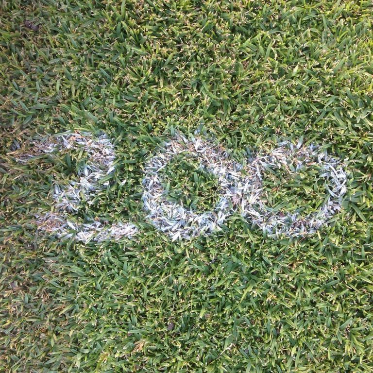 Thornleigh 10 - 1